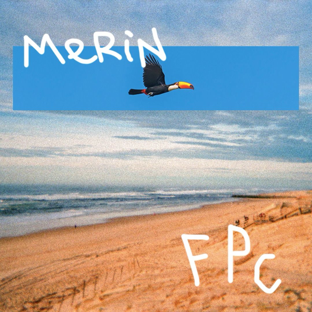 Pochette de FPC par Merin
